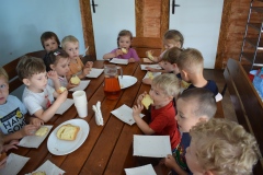 Mazowieckie Sioło Julianówka 