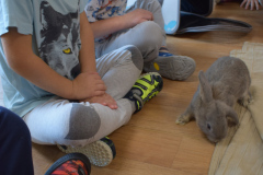 DSC_0190