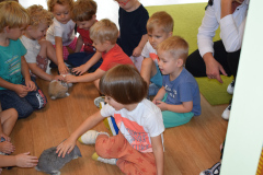 Światowy dzień królika